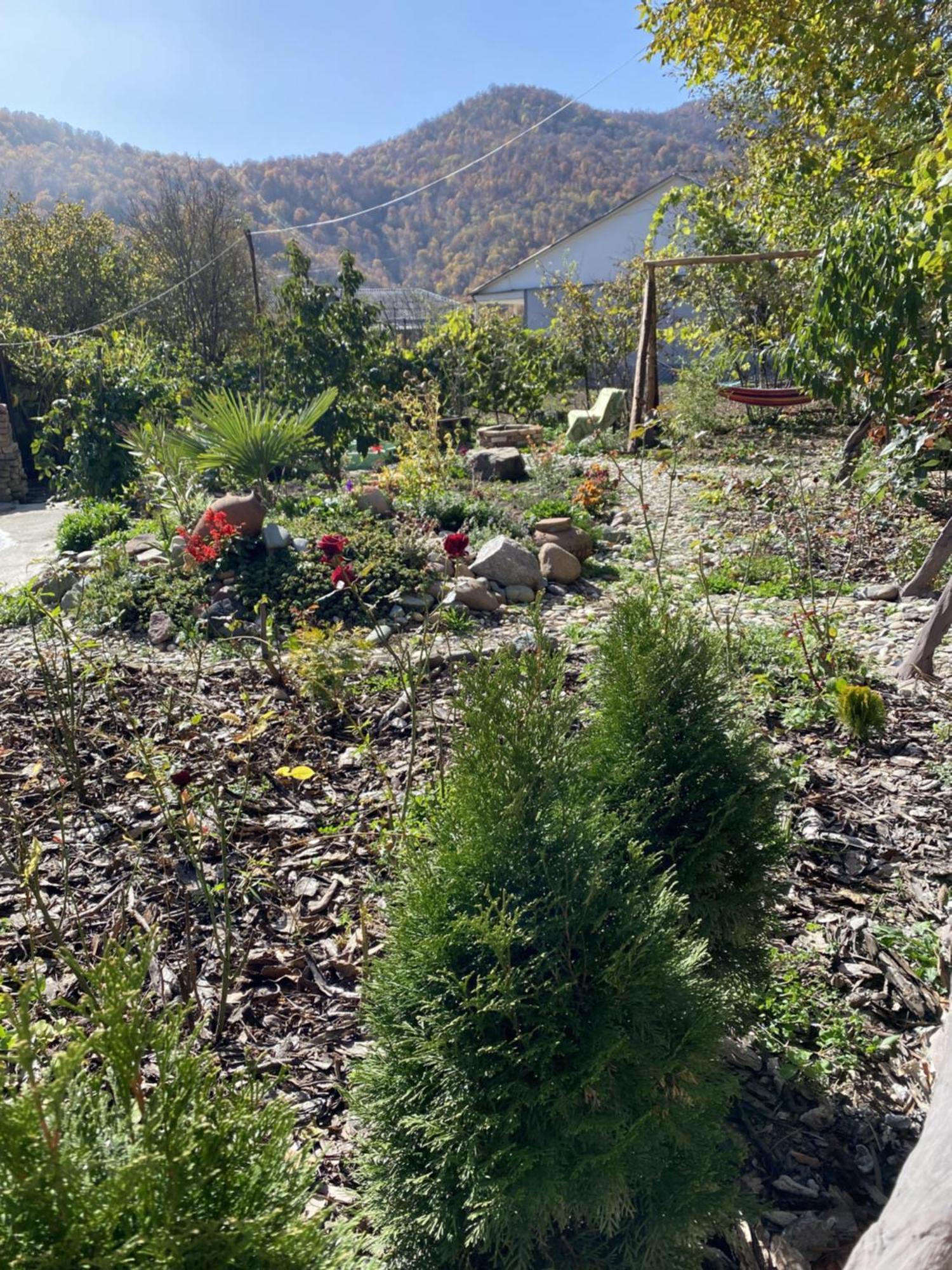 Green Park Guest House Dilijan Luaran gambar
