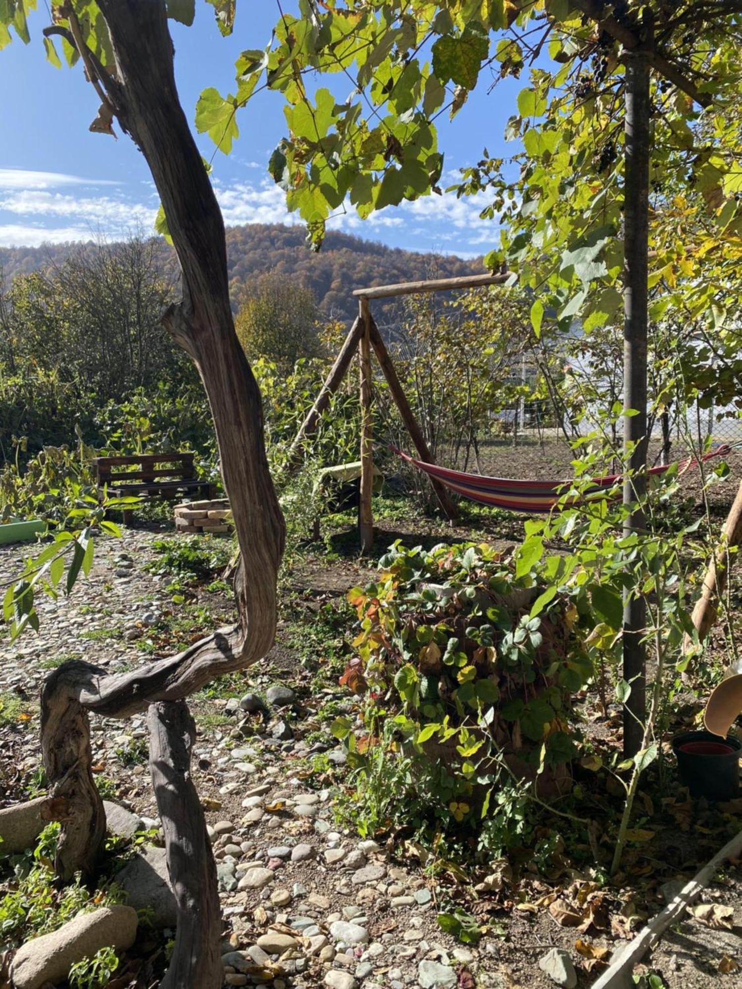 Green Park Guest House Dilijan Luaran gambar
